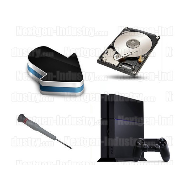 PlayStation 4 (1To)